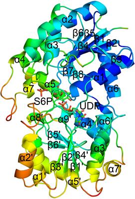 Co-crystal Structure of Thermosynechococcus elongatus Sucrose Phosphate Synthase With UDP and Sucrose-6-Phosphate Provides Insight Into Its Mechanism of Action Involving an Oxocarbenium Ion and the Glycosidic Bond